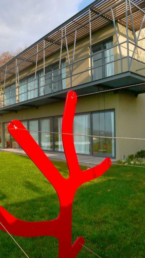 Villa Maja Ванс Экстерьер фото